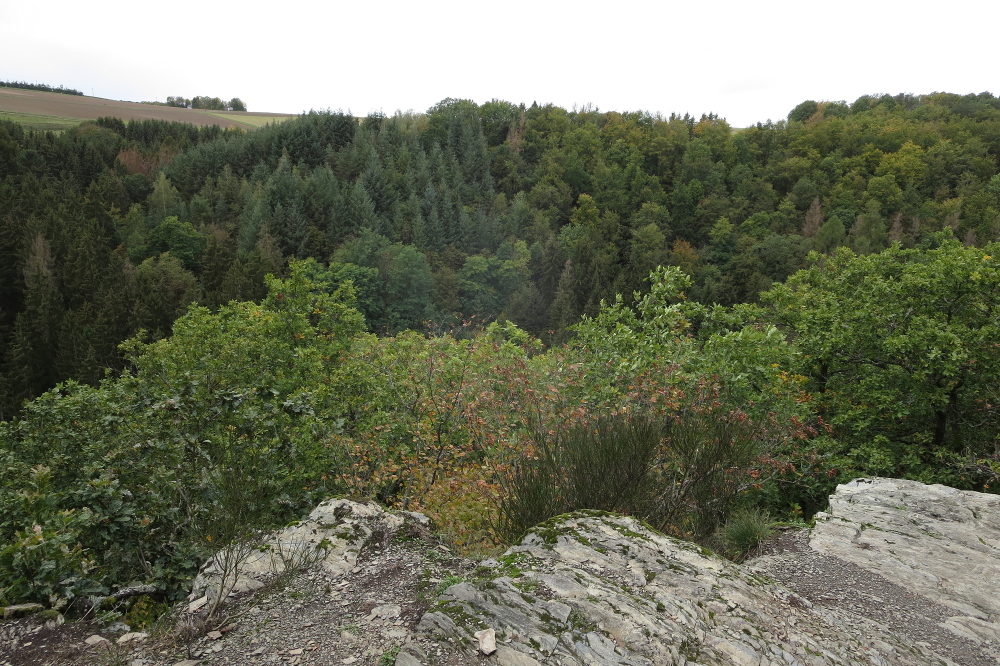 Traumschleife Masdascher Burgherrenweg
