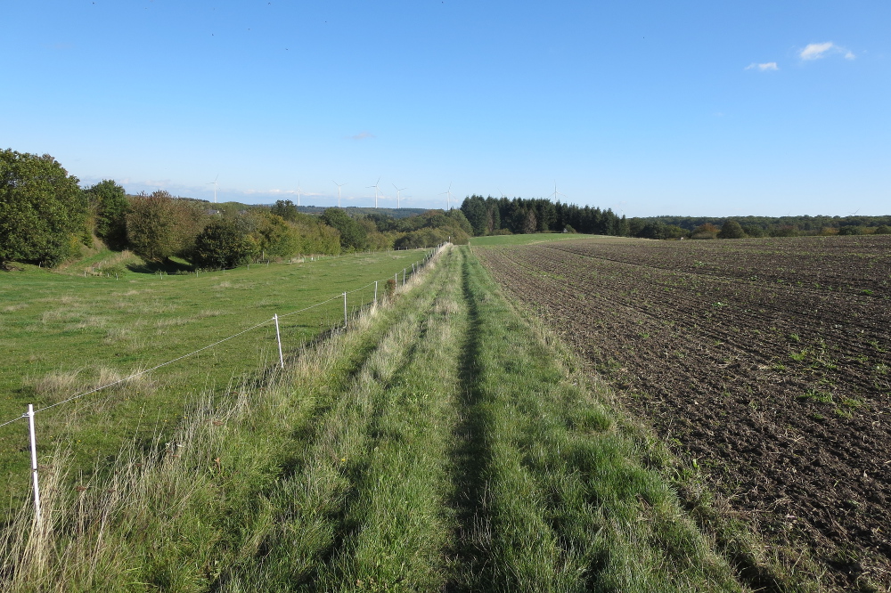 Traumschleife Layensteig Strimmiger Berg