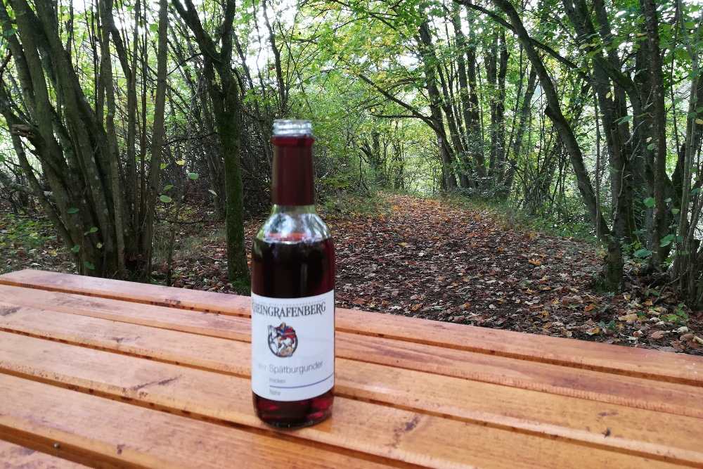Traumschleife Nohener-Nahe-Schleife