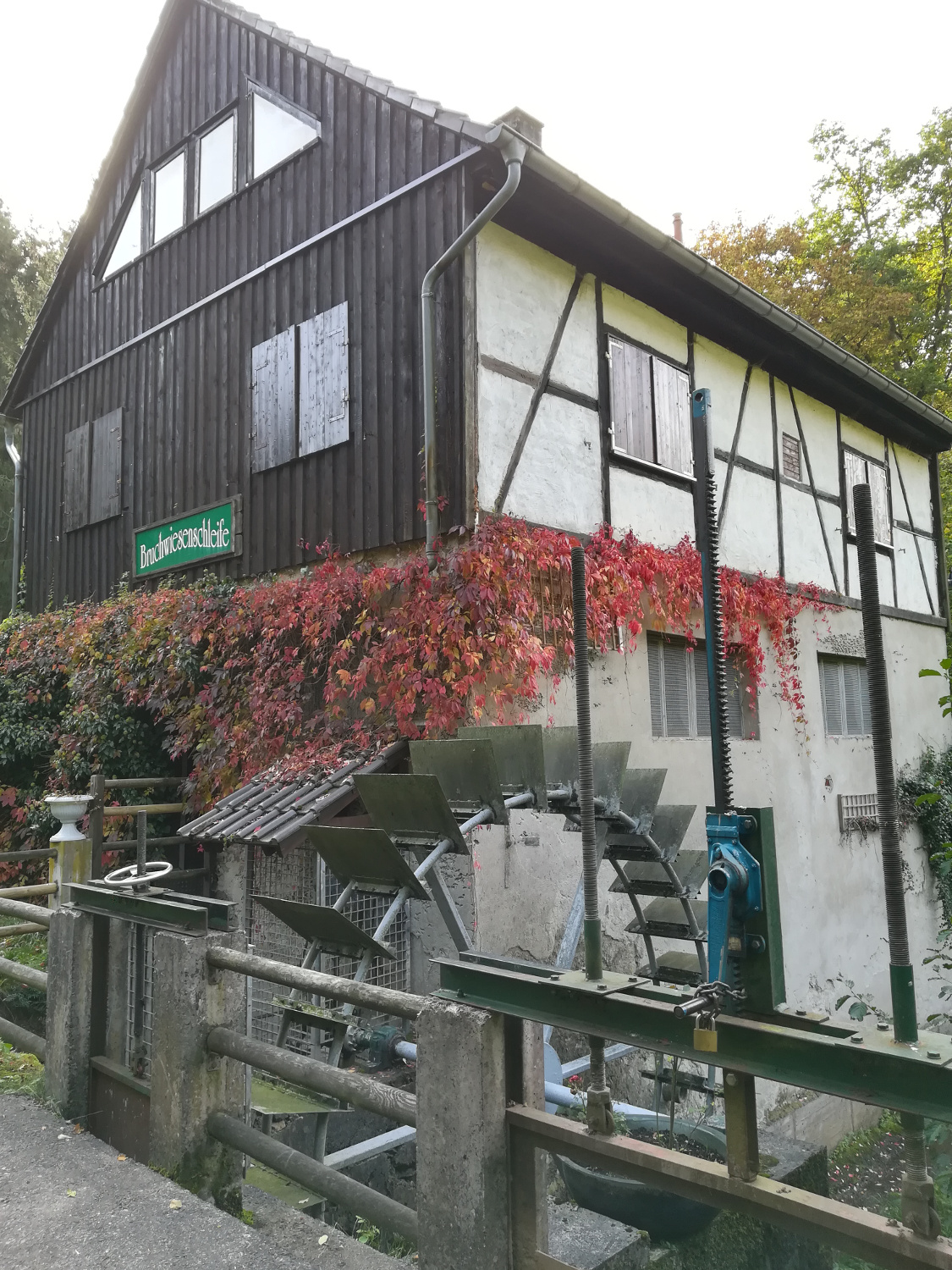 Traumschleife Nohener-Nahe-Schleife