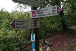 Traumschleife Felsenweg