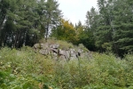 Traumschleife Felsenweg