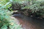 Traumschleife Ruwer-Hochwald-Schleife