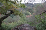 Traumschleife Baybachklamm