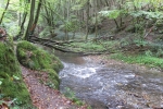 Traumschleife Baybachklamm