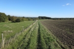 Traumschleife Layensteig Strimmiger Berg