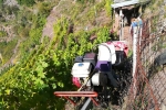 Calmont-Klettersteig