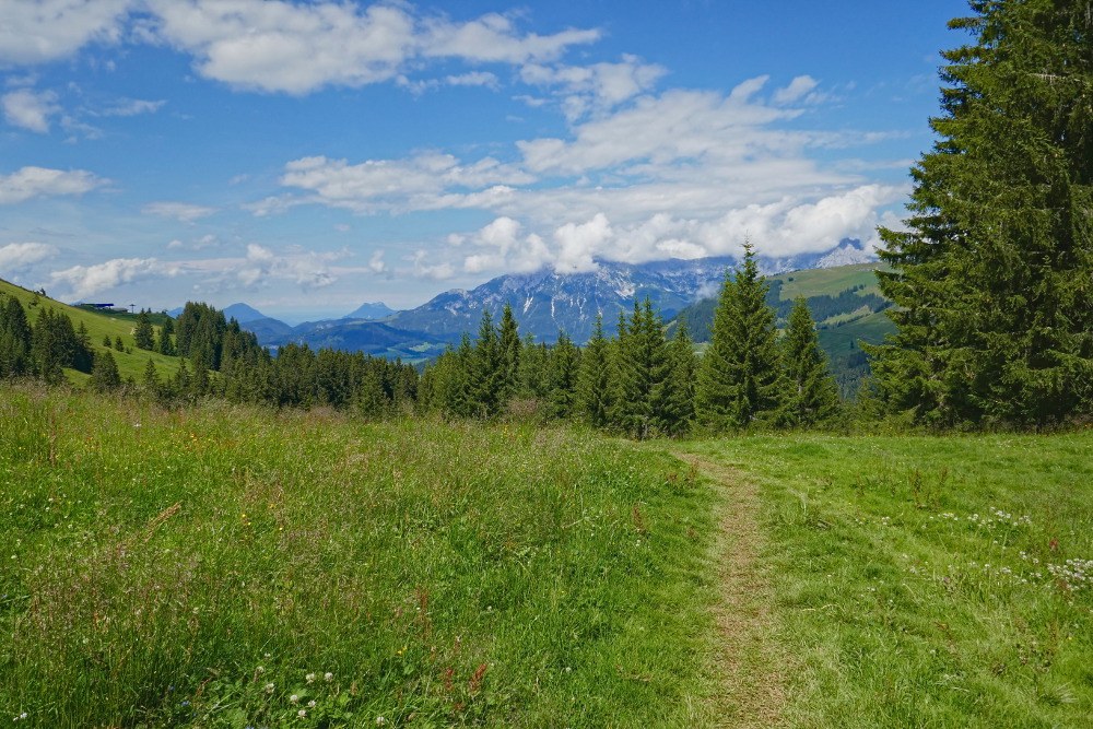 Kitzbüheler Alpen – Auf die Hohe Salve