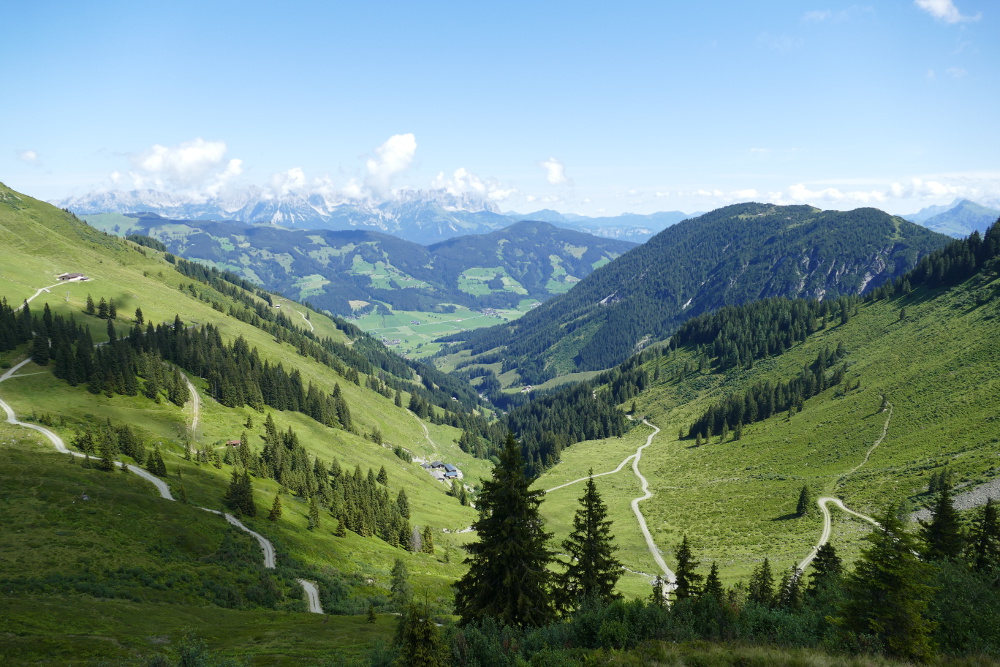 Kitzbüheler Alpen – Über den Gaisberg