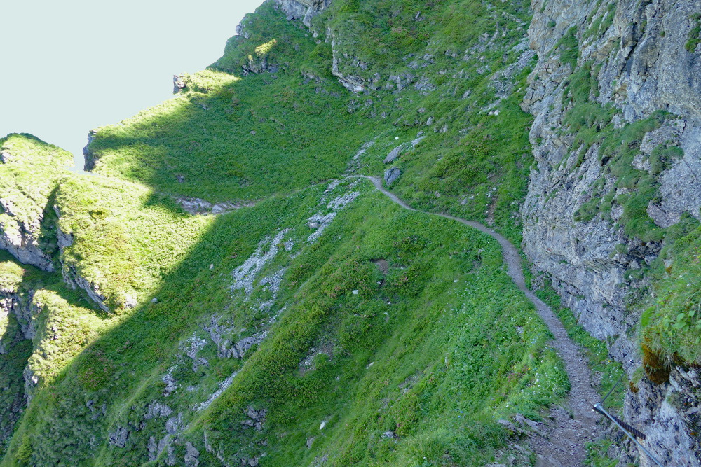 Kitzbüheler Alpen – Rund ums Kitzbüheler Horn