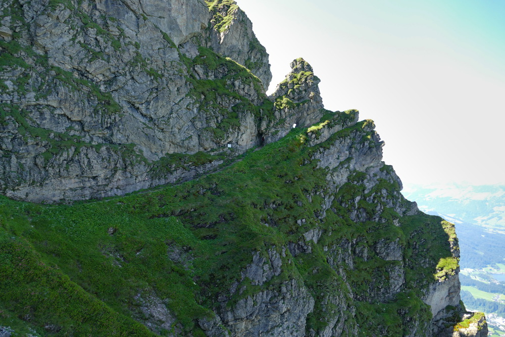 Kitzbüheler Alpen – Rund ums Kitzbüheler Horn