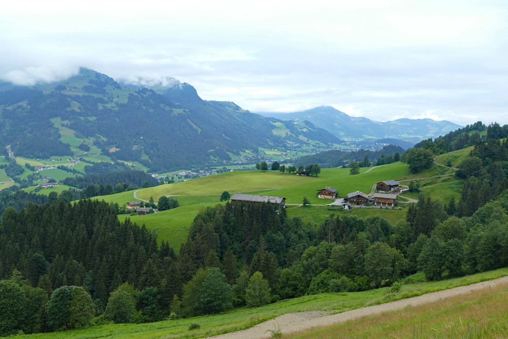 Kitzbüheler Alpen – Vom Wildpark Aurach nach Kitzbühel