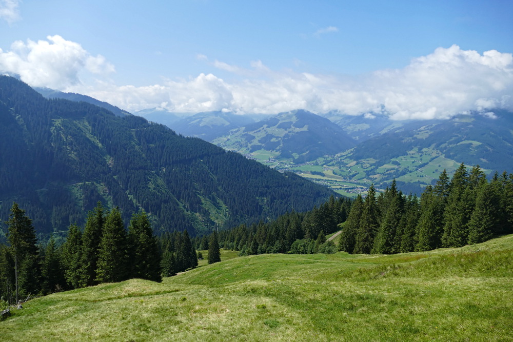 Kitzbüheler Alpen – Vom Wildpark Aurach nach Kitzbühel