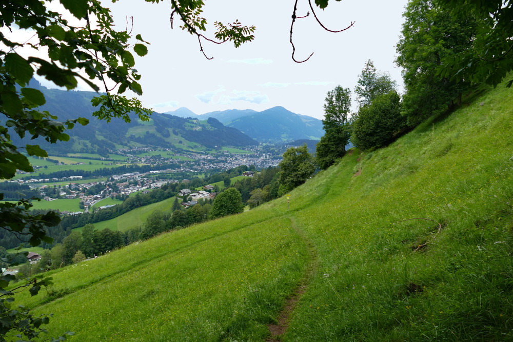 Kitzbüheler Alpen – Vom Wildpark Aurach nach Kitzbühel