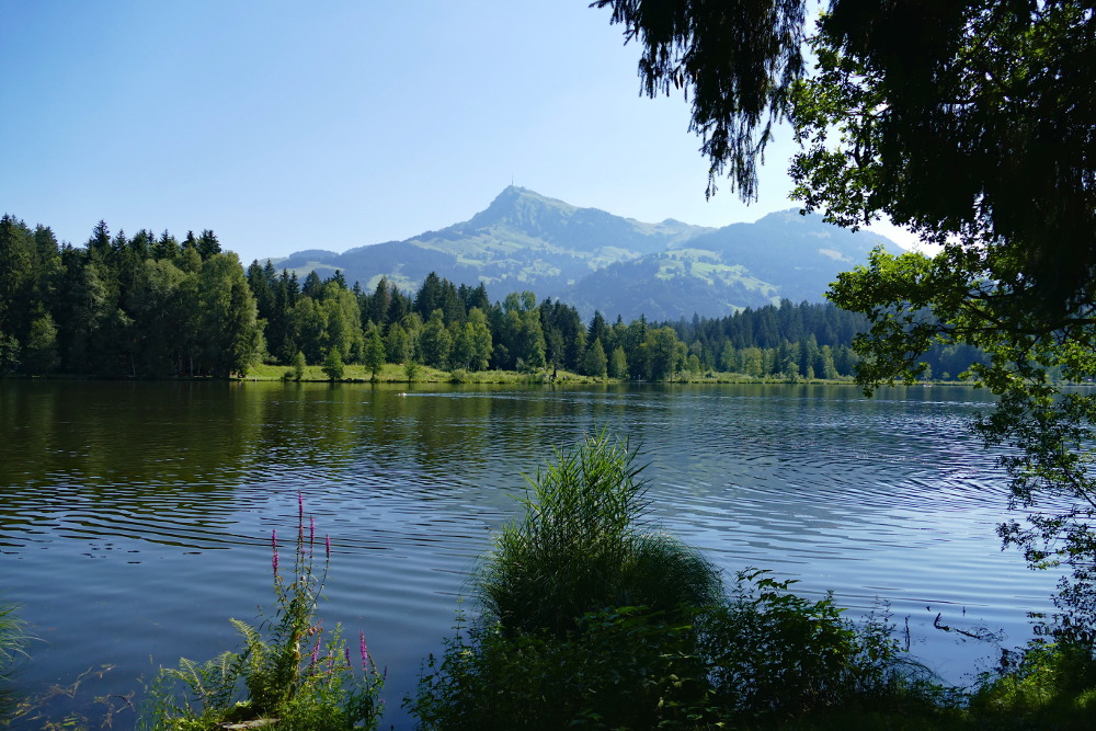 Kitzbüheler Alpen – Vom Schwarzsee nach St. Johann