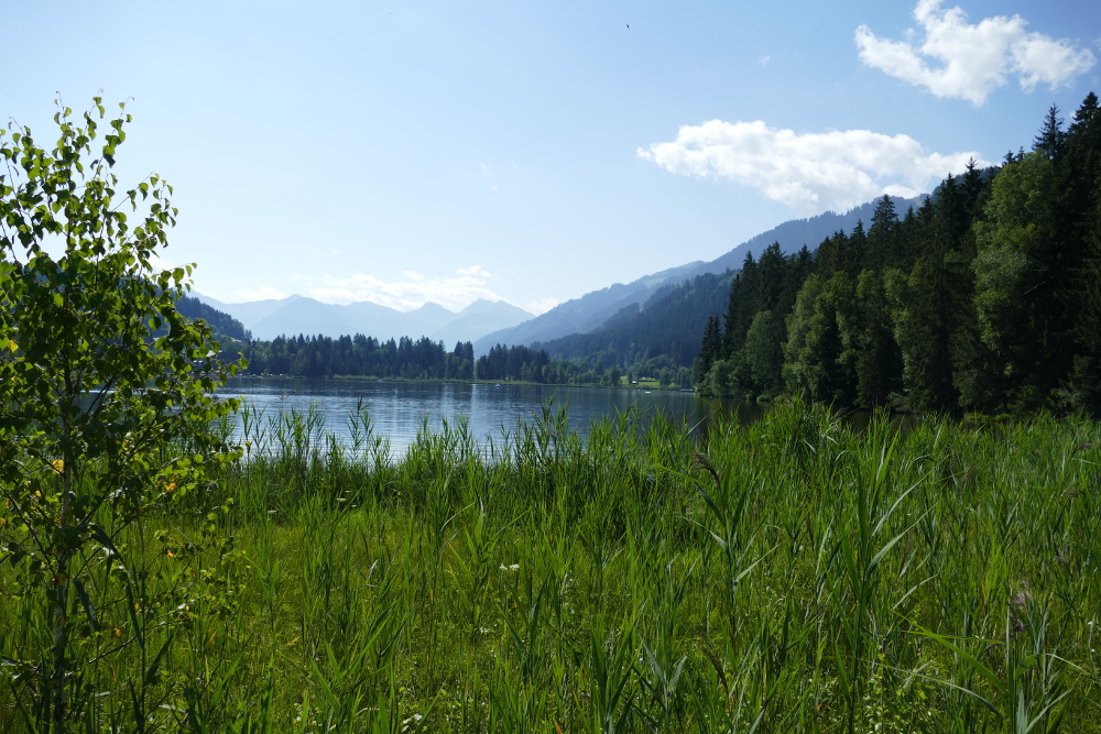 Kitzbüheler Alpen – Vom Schwarzsee nach St. Johann
