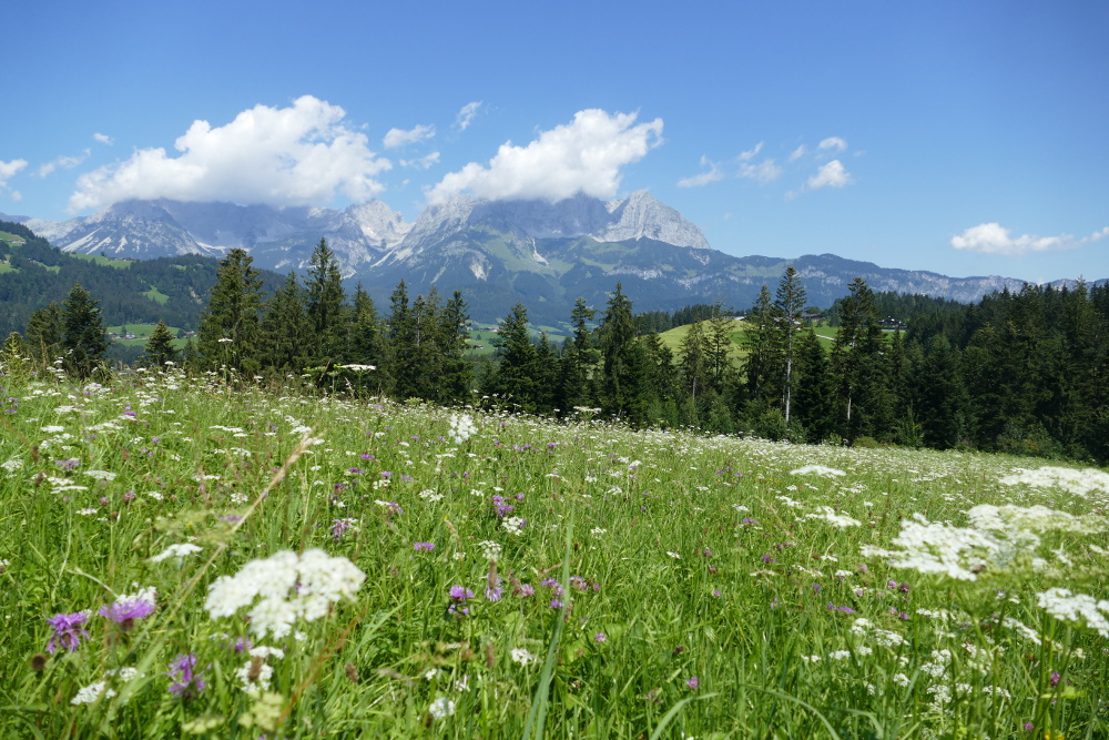 Kitzbüheler Alpen – Vom Schwarzsee nach St. Johann