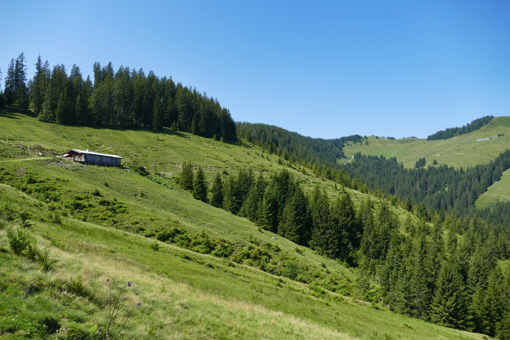 Kitzbüheler Alpen – Vom Hartkaiser zum Hollenauer Kreuz
