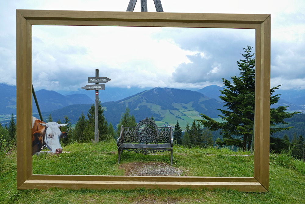 Kitzbüheler Alpen - Lärchfilzkogel