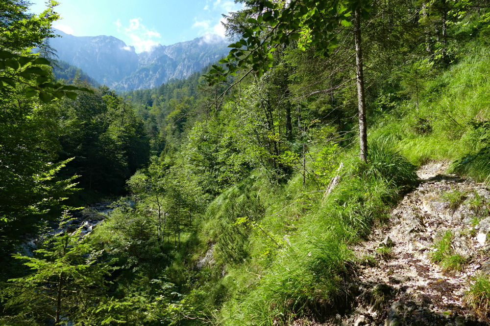 SalzAlpenTour - Gmainer Rundtour - Bayerisch Gmain