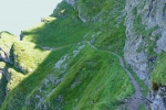Kitzbüheler Alpen – Rund ums Kitzbüheler Horn