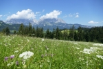 Kitzbüheler Alpen – Vom Schwarzsee nach St. Johann