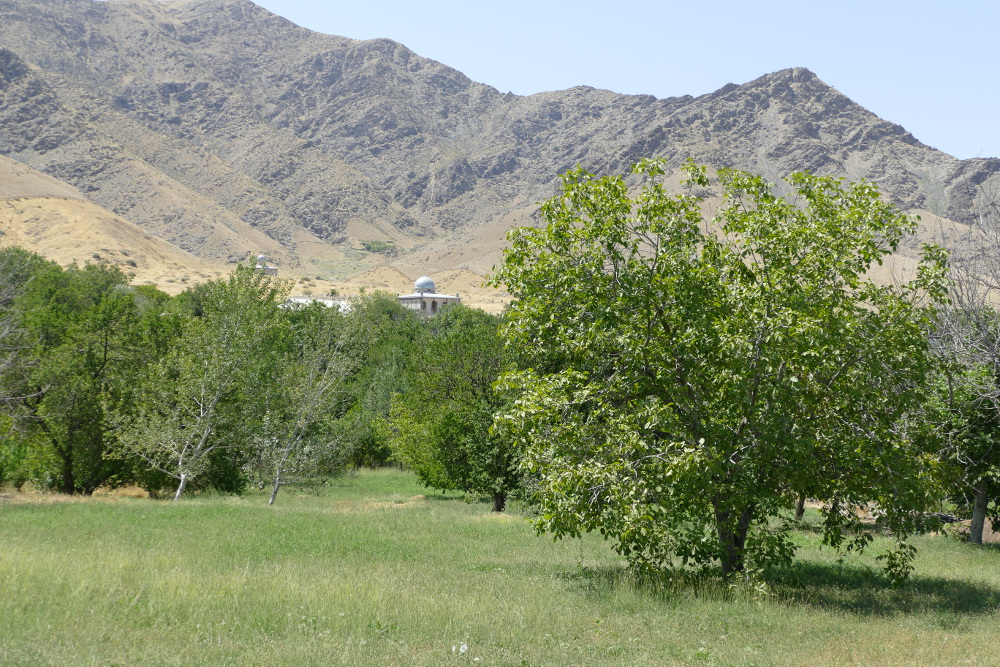 Usbekistan - Wanderung nach Khayat