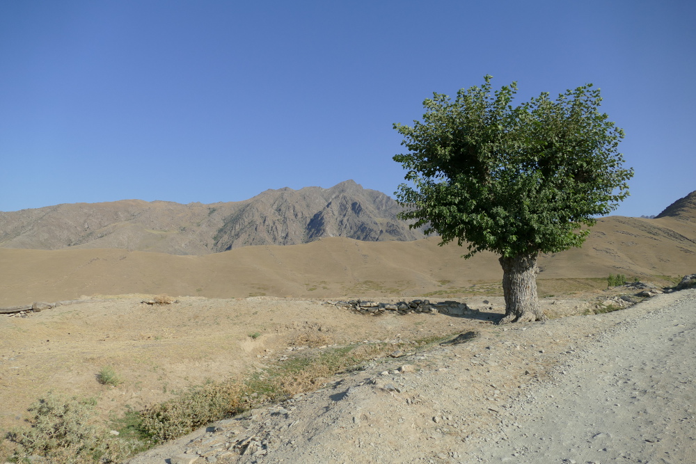 Usbekistan - Wanderung nach Khayat