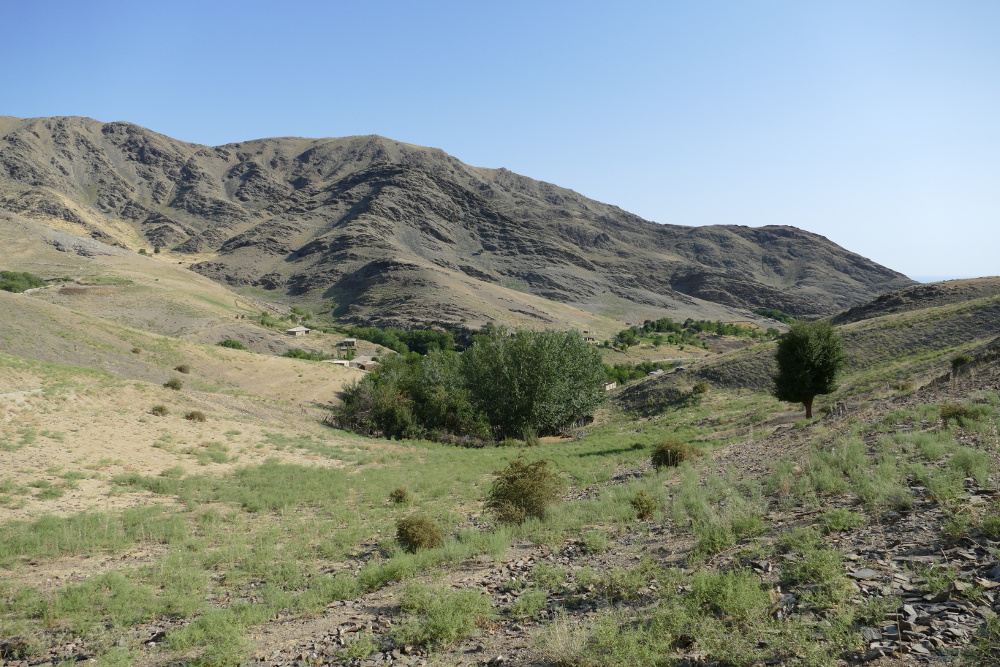 Usbekistan - Wanderung zu den Petroglyphen