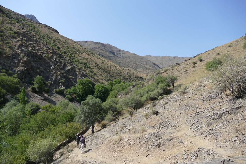 Usbekistan - Wanderung zu den Petroglyphen