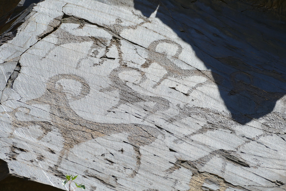 Usbekistan - Petroglyphen