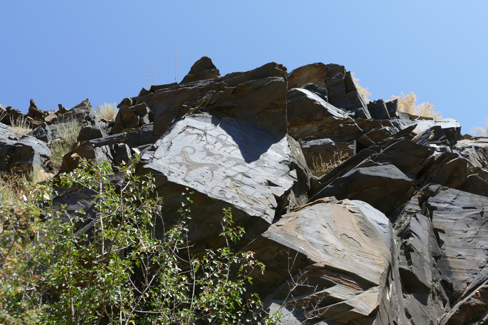 Usbekistan - Petroglyphen