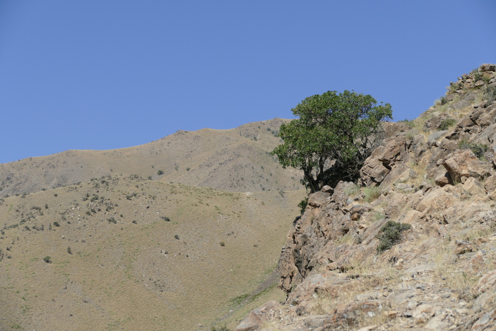 Usbekistan - Wanderung bei Khayat