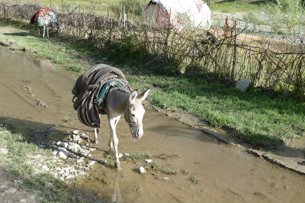Tadschikistan - Zum Artuch-Camp
