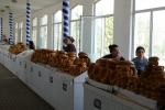 Usbekistan - Taschkent - Chorsu-Basar