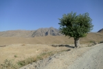 Usbekistan - Wanderung nach Khayat
