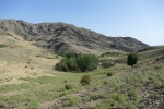Usbekistan - Wanderung zu den Petroglyphen