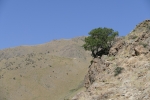 Usbekistan - Wanderung bei Khayat
