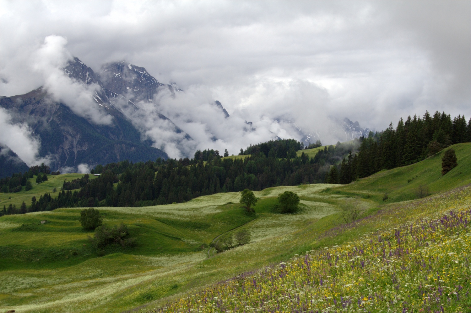 Via Engiadina - Morgenstimmung