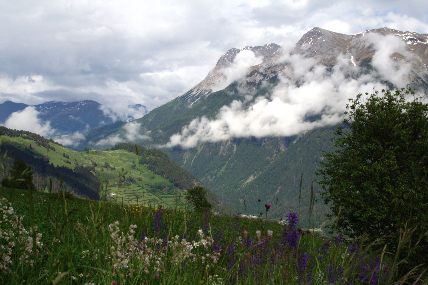 Via Engiadina - Piz S-chalambert