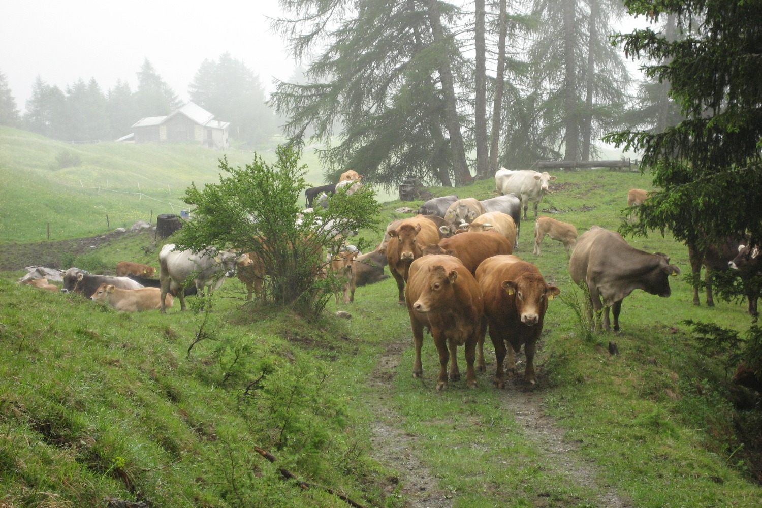 Via Engiadina - Dieser Weg gehört uns!
