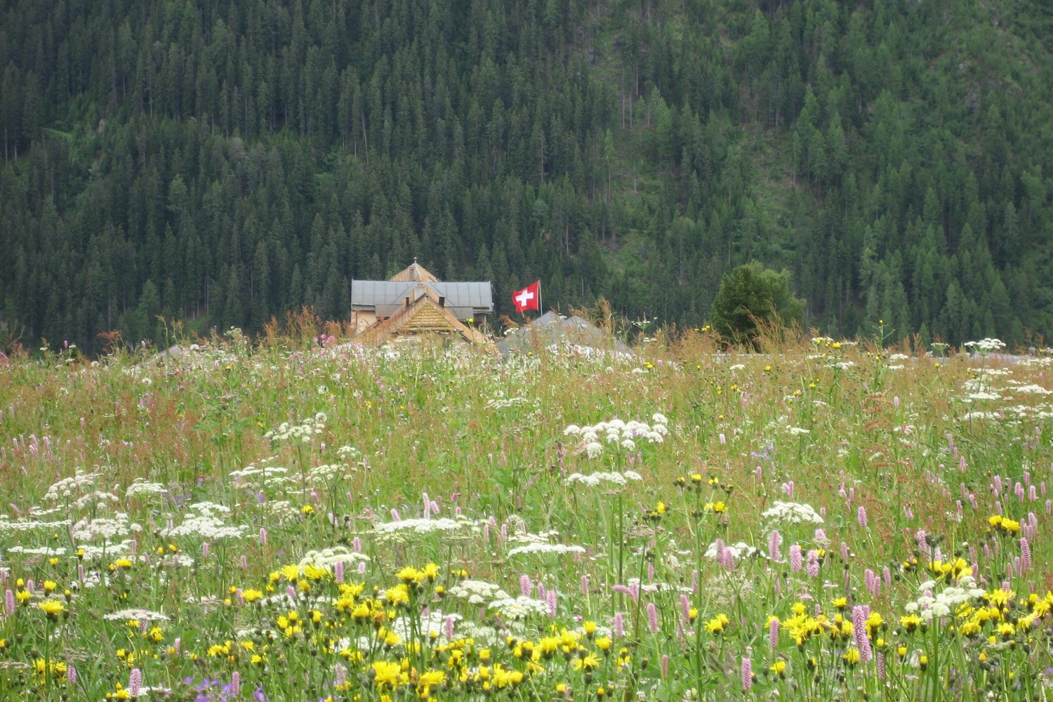 Via Engiadina - Guarda