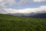 Via Engiadina - Almwiese