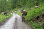 Via Engiadina - Was guckst Du?