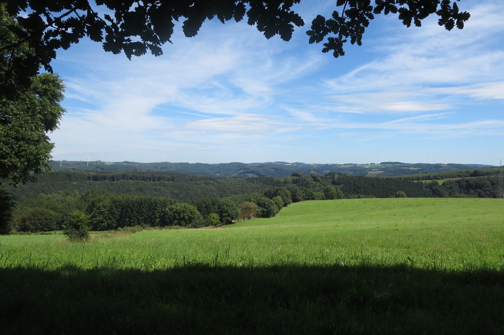 Volmelandsteig Runde - A - Dahl