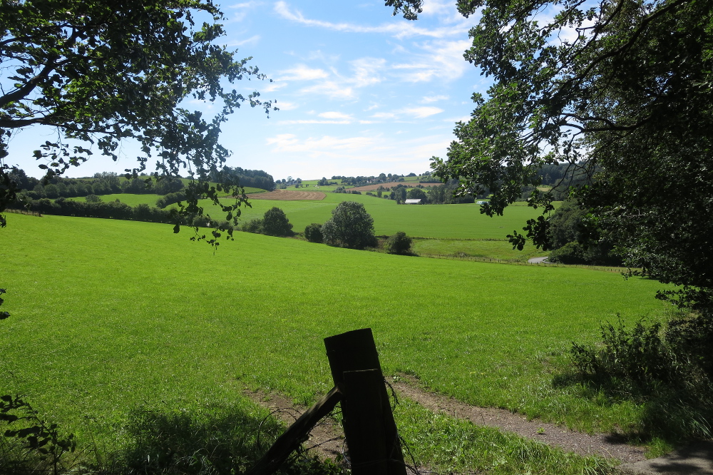 Volmelandsteig Runde - A - Dahl