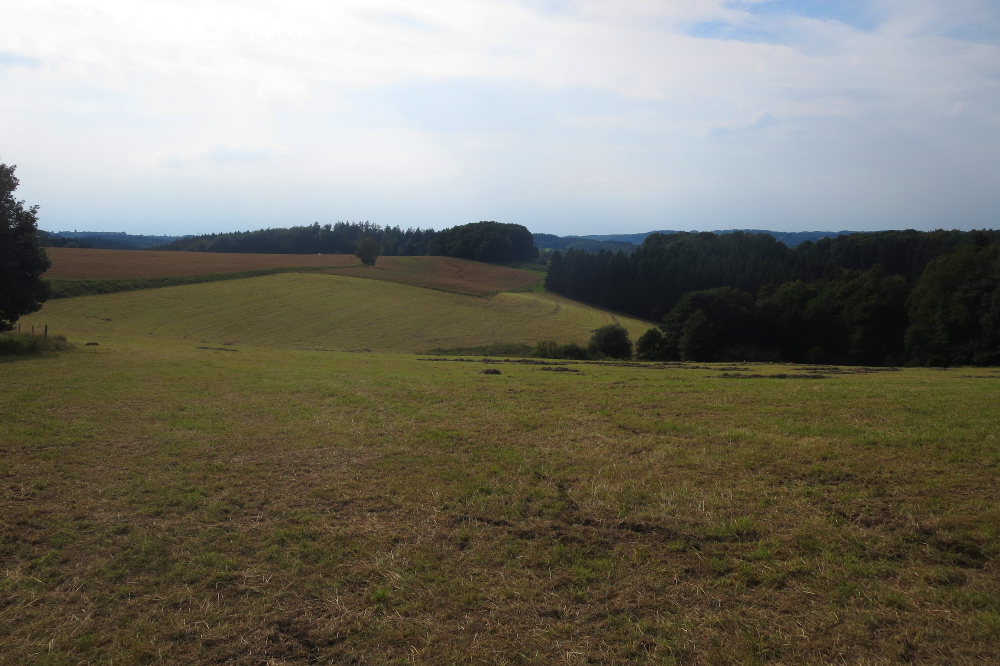 Volmelandsteig Runde – C – Brügge