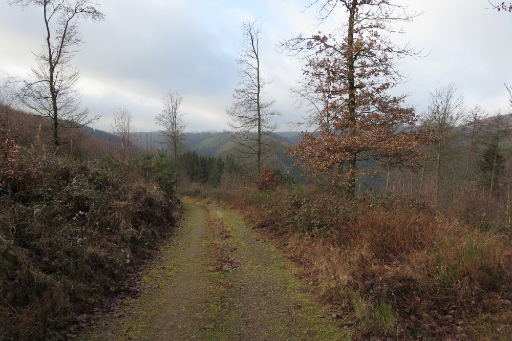 Volmelandsteig Runde – B – Rummenohl