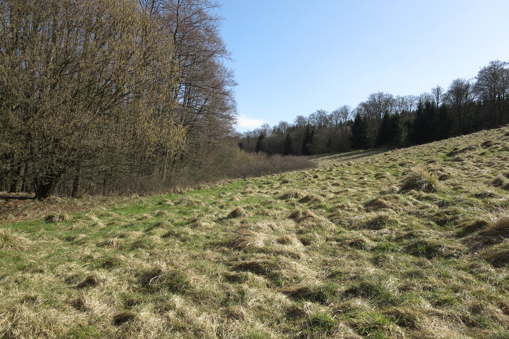 Volmelandsteig Runde – D – Bollwerk