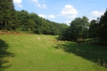 Volmelandsteig Runde – C – Brügge